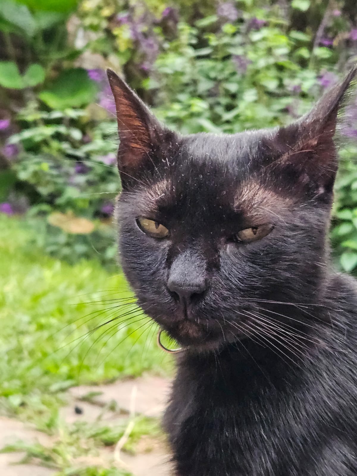 Salem